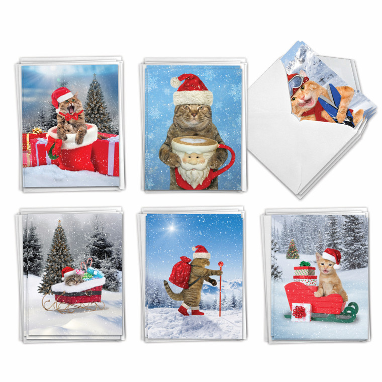 Cats Antics, Assorted Set Of 36 Christmas Notecards - AM3195XSG