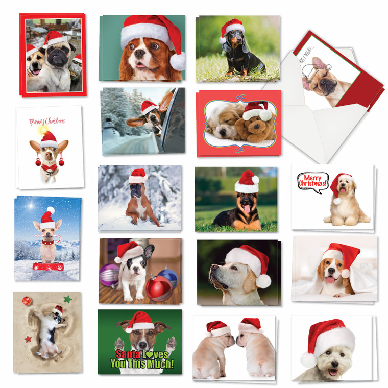 Holiday Dogs, Assorted Set Of 36 Christmas Notecards - AM7847XSG