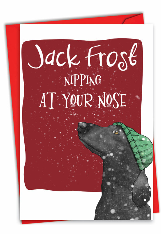 Holiday Dog Antics - Jack Frost, Printed Christmas Greeting Card - C2918DXS
