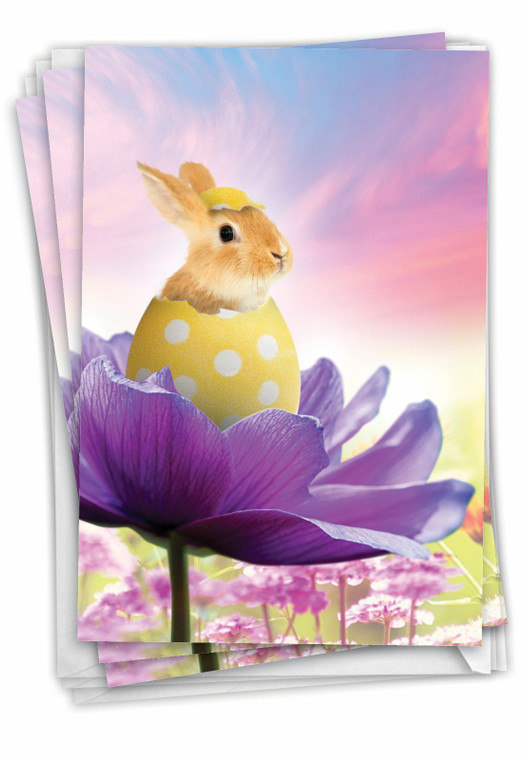 Hatching Rabbits - Flower, Pack Of Printed Easter Greeting Cards - C8993GEAG-C3x1
