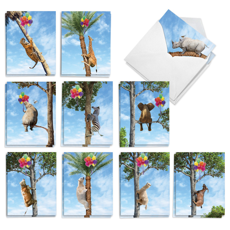Tree Animals, Assorted Set Of Printed Birthday Notecards - AM10323BDG-B2x10