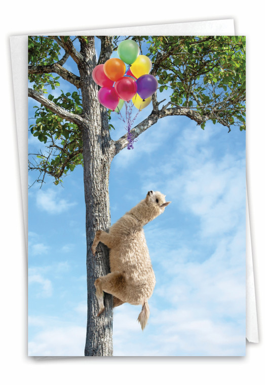 Tree Animals - Llama, Printed Thank You Greeting Card - C10323HTYG