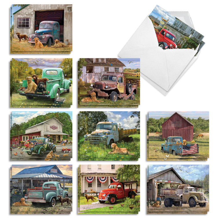 Trucks and Labs, Assorted Set Of Printed Blank All Occasions Notecards - AM10203OCB-B2x10