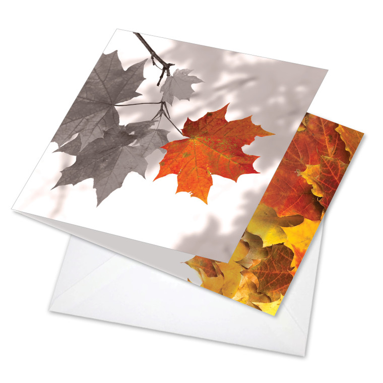 Autumn Leaf - Maple, Printed Square-Top All Occasions Greeting Card - CQ4629AOC