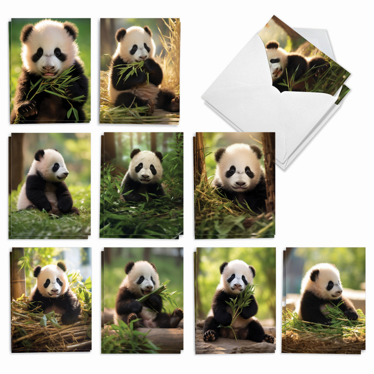 Panda Pups, Assorted Set Of Printed Blank All Occasions Notecards - AM10041OCB-B2x10