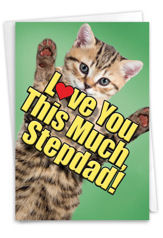 Cat Love You This Much Stepdad, Printed Father's Day Stepfather Greeting Card - C6610HFFG