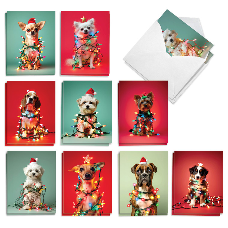 Decorated Dogs, Assorted Set Of Printed Christmas Notecards - AM10765XSG-B2x10