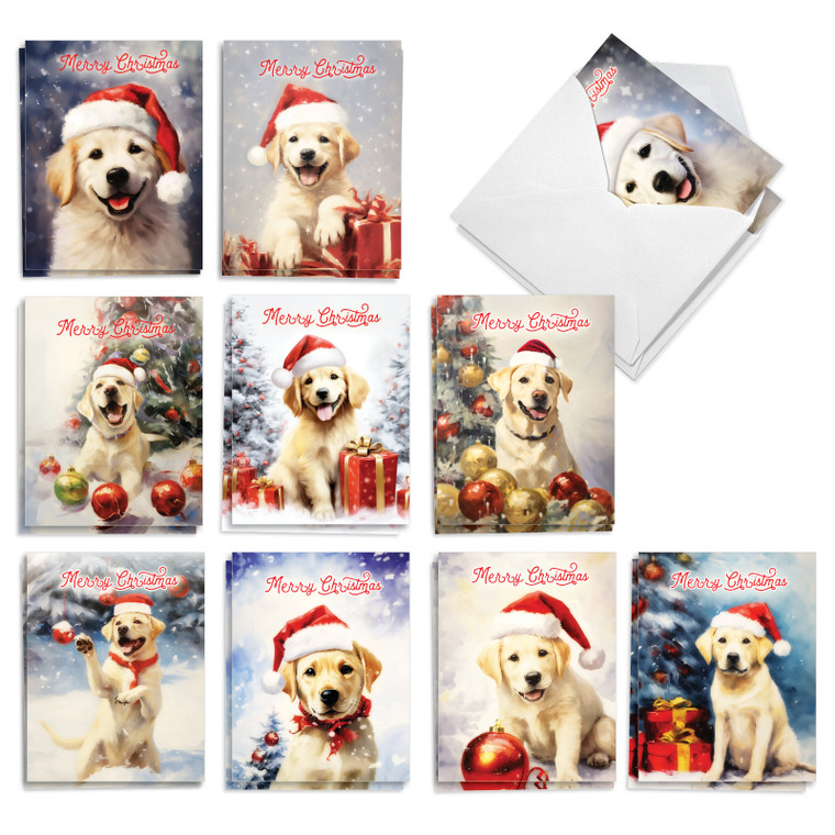 Santa's Labs, Assorted Set Of Printed Christmas Notecards - AM10768XSG-B2x10