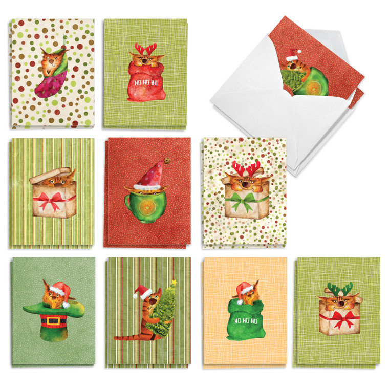 Holiday Fun Cats, Assorted Set Of Printed Christmas Notecards - AM10782XSG-B2x10