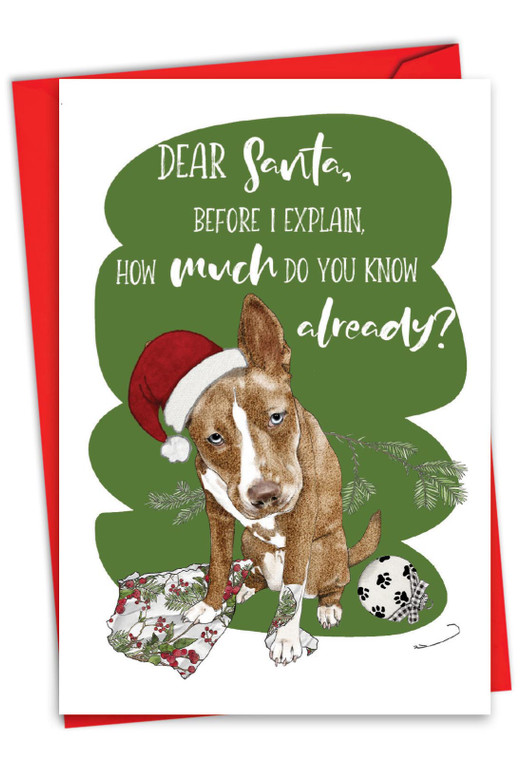 Holiday Dog Days, Printed Christmas Greeting Card - C10783BXS