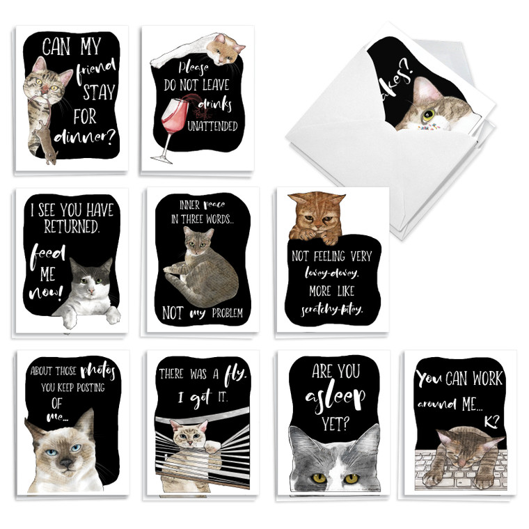 Cat Antics, Assorted Set Of Printed Everyday Mixed Occasions Notecards - AM3638EXG-B2x10