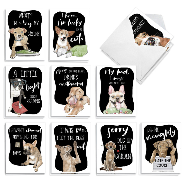 Dog Antics, Assorted Set Of Printed Blank All Occasions Notecards - AM3639OCB-B2x10