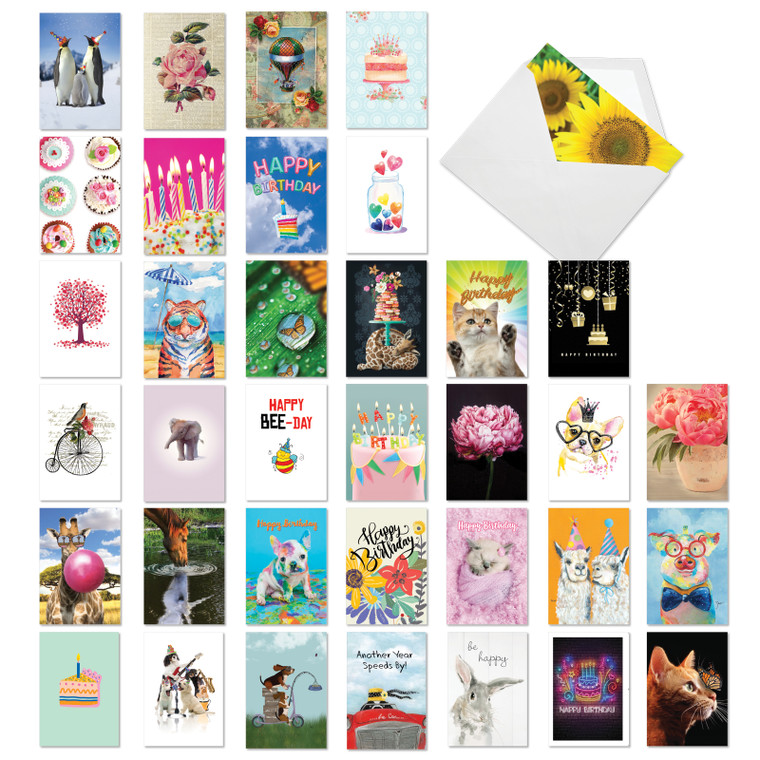 A Bunch Of Birthdays, Assorted Set Of 36 Printed Birthday Greeting Cards - AC7744BDG-B1x36