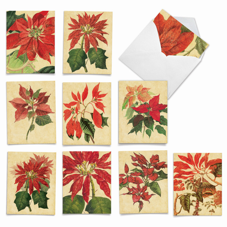 Poinsettia Season, Assorted Set Of Christmas Notecards - AM9628XSG
