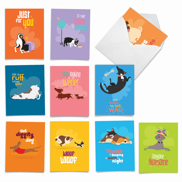 Doggone Awesome Notes, Assorted Set Of Blank Notecards - AM6586OCB