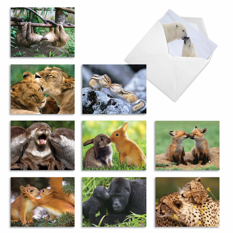 Animal Smackers, Assorted Set Of Thank You Notecards - AM6594TYG