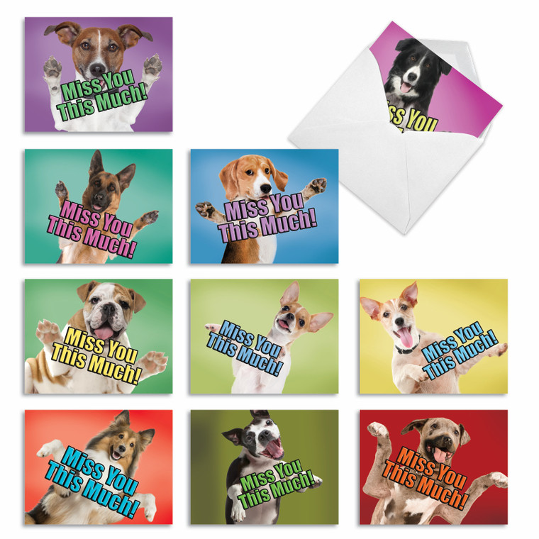 Dog Miss You This Much, Assorted Set Of Blank Notecards - AM6600MYB