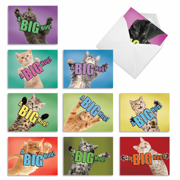 Cat A Big Hug, Assorted Set Of Blank Notecards - AM6614OCB