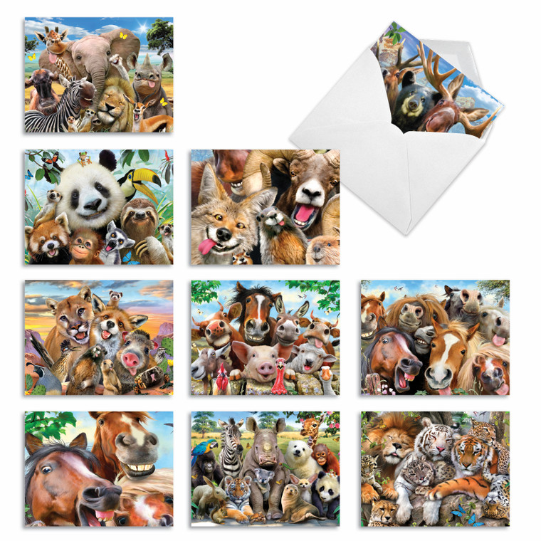 Here's Looking At Zoo, Assorted Set Of Thank You Notecards - AM6639TYG