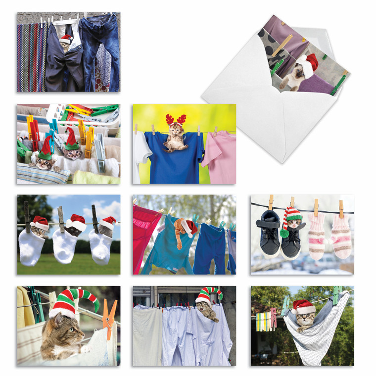 Hang In There, Assorted Set Of Christmas Notecards - AM6474XSG