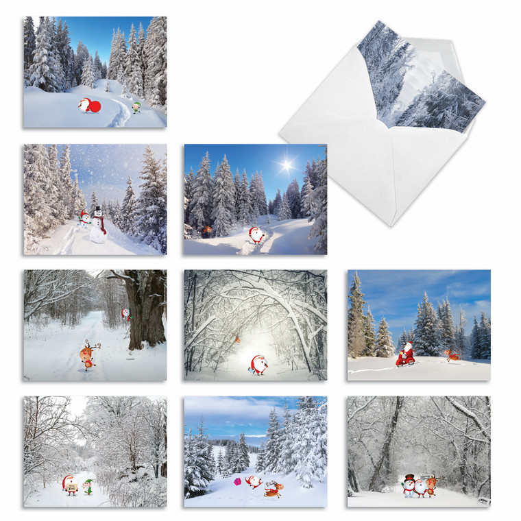 Santa Paths, Assorted Set Of Christmas Notecards - AM6716XSG