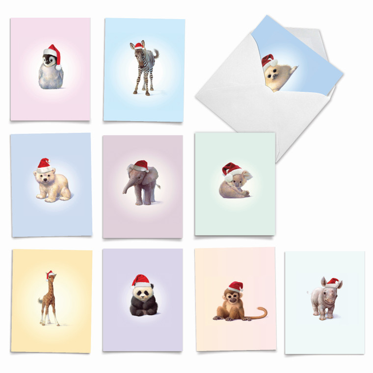Zoo Babies, Assorted Set Of Christmas Notecards - AM6726XSG