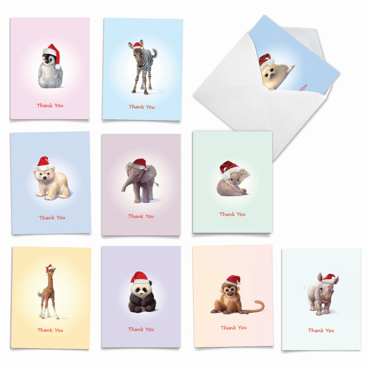 Christmas Zoo Babies, Assorted Set Of Blank Notecards - AM6726XTB