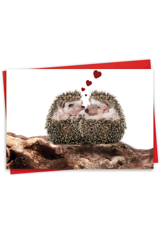Cards From The Hedge - Hearts, Printed Valentine's Day Greeting Card - C6541IVDG