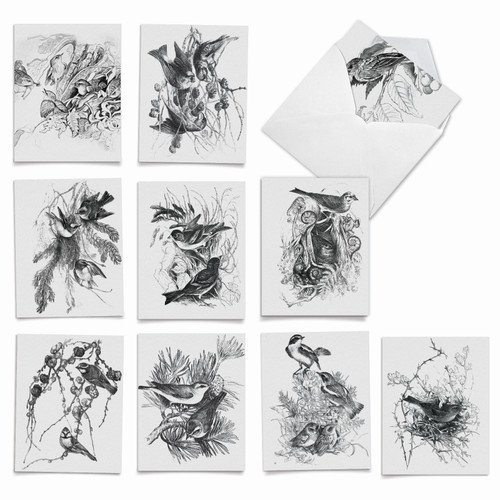 Wing Note AM6475OC - Wing Notes: Assorted Set Of 10 Printed Notecards ...