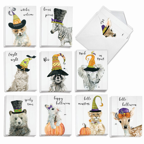 Spooky Be Wild, Assorted Set Of Halloween Notecards - AM9543HWG ...