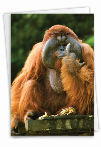 Flipping Monkey - Orangutan, Printed Birthday Greeting Card
