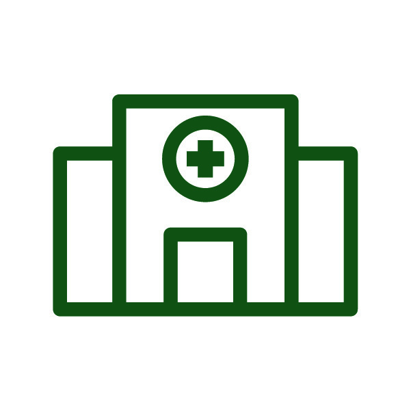 healthcare icon