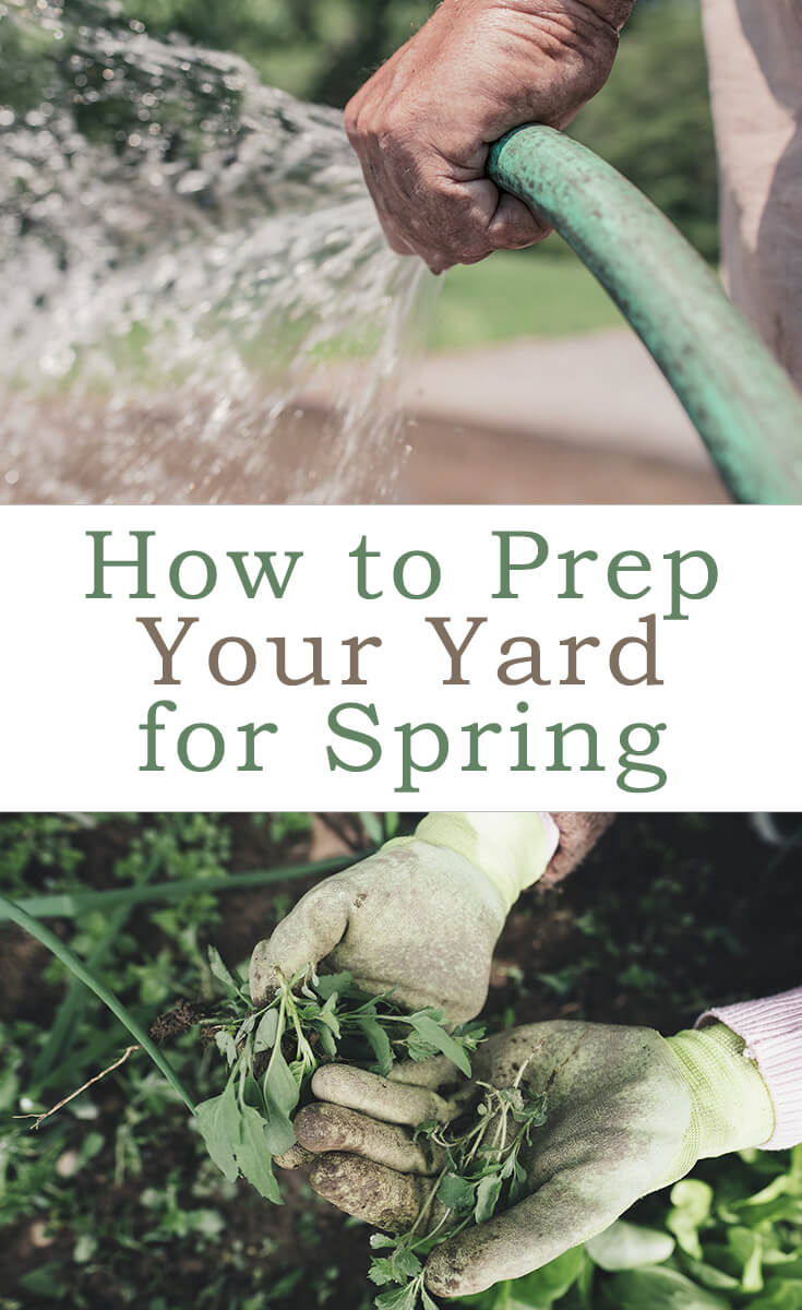 How to Prep Your Yard for Spring Pinterest Graphic