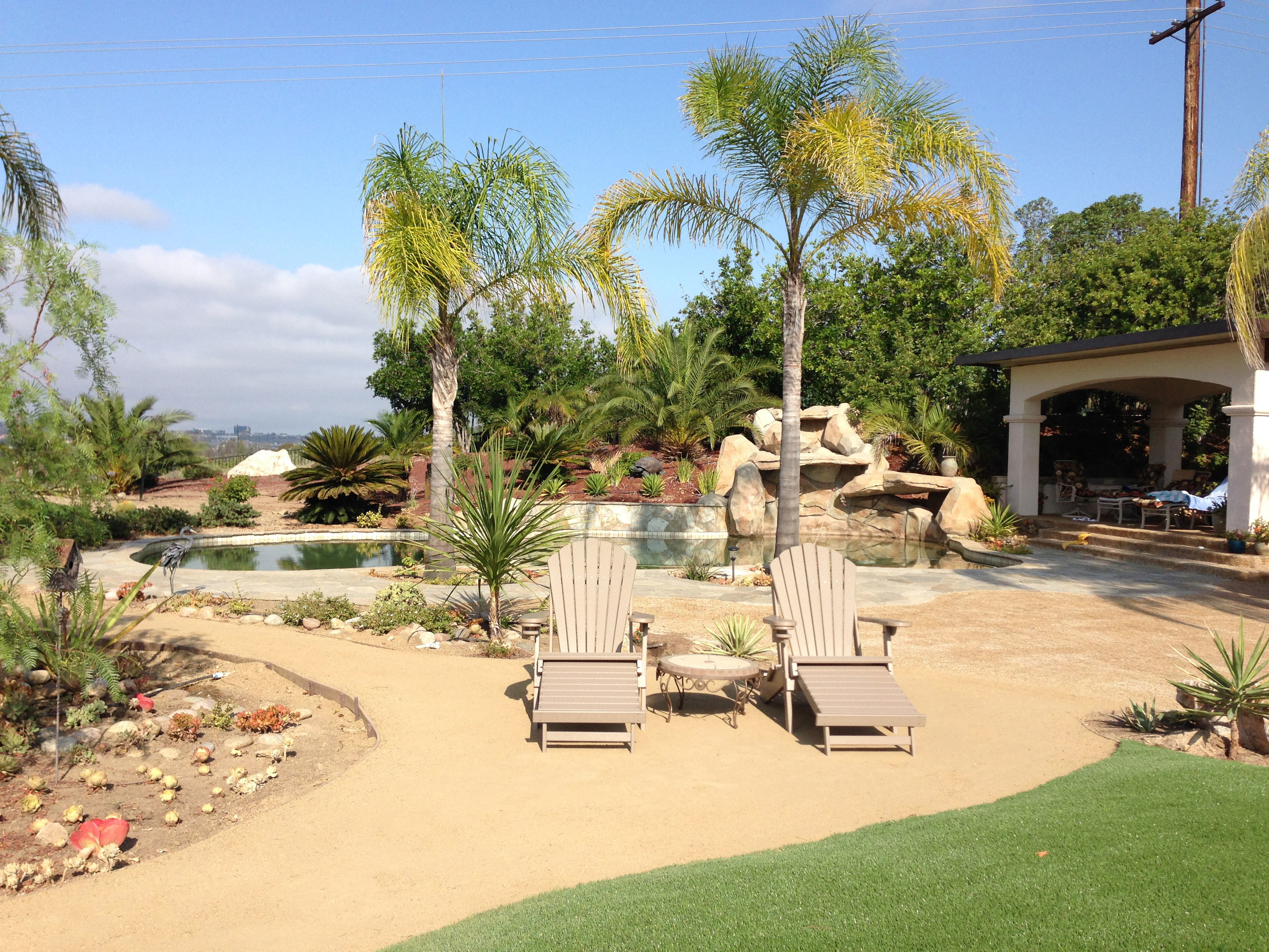 Palms and Poly Lumber