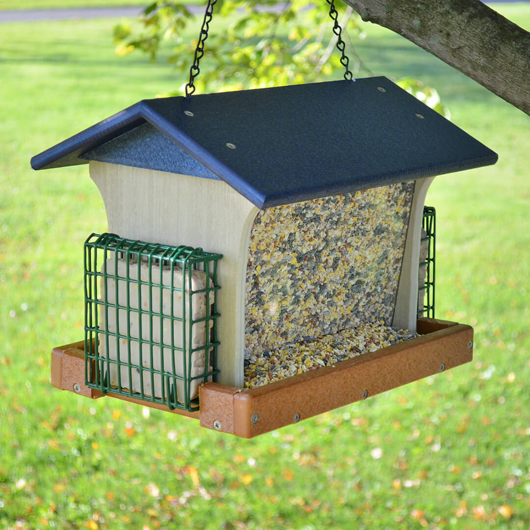 6 Reasons Why Birds Aren't Coming to Your Bird Feeder - ECCB Outdoor