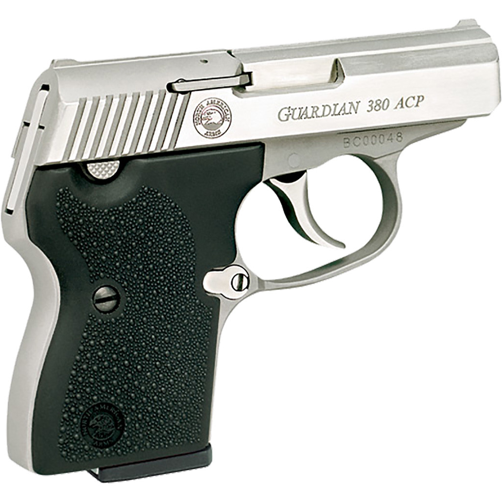 NAA Guardian Pistol 380 ACP Stainless/Black 2.5 in. 6+1 rd