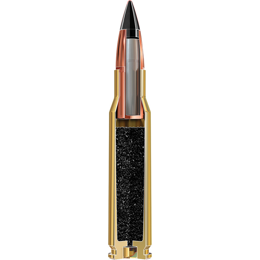 Winchester Varmint X Rifle Ammo 243 Win 65 gr. XP 20 rd. - Freedom