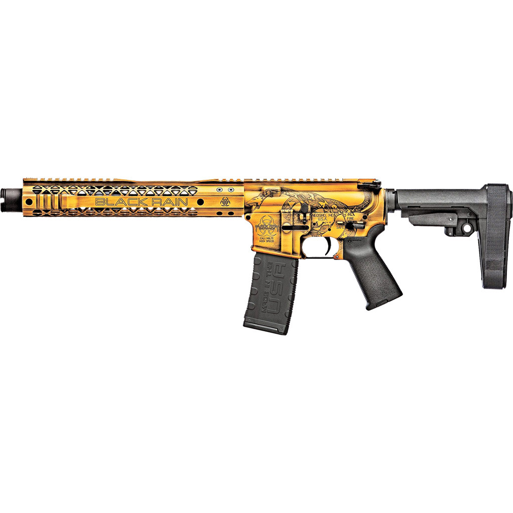Black Rain Ordnance Spec+ Patriot Rifle 5.56 16 in. Gadsden Flag