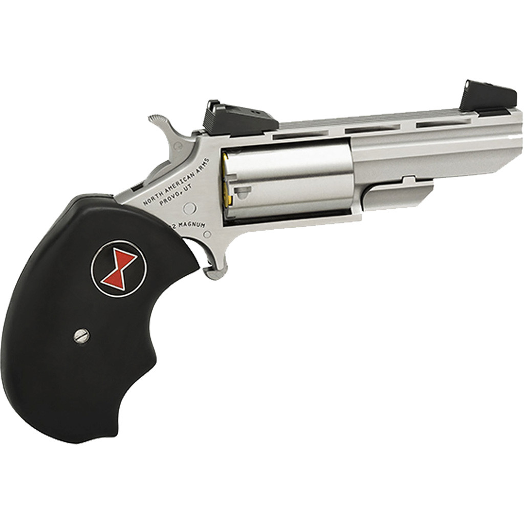 NAA Black Widow Revolver 22 WMR Stainless/Black 2 in. 5 rd. AS