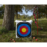Rinehart NASP Homework Target