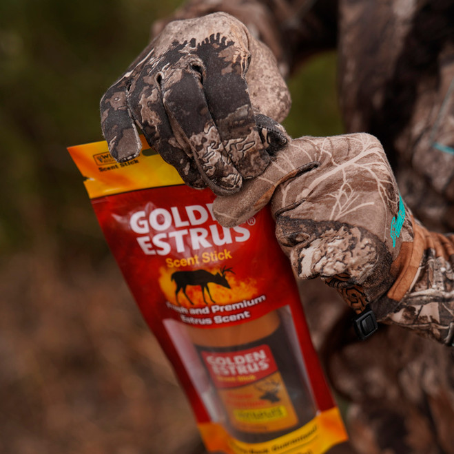 Wildlife Research Golden Estrus Scent Stick