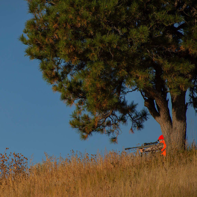 Allen Softshell Blaze Hunting Vest