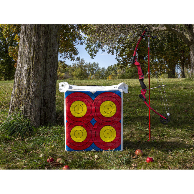 Rinehart NASP Homework Target