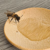 Nature Nurture Bee Rescue Kit