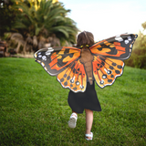 Celebrate Butterfly Education and Awareness Day with Little Trekkers!
