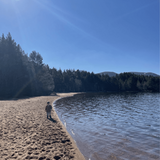 National Park Walks with Kids: More Great Cairngorms Walks