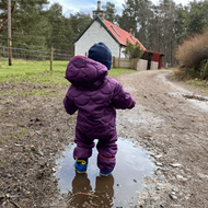 National Park Walks with Kids: The Cairngorms