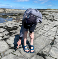 Walk with us: Fossil Hunting at Kilve Beach