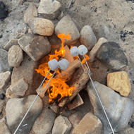 Campfire S'mores