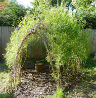 How To Build A Willow Den